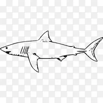 大白鲨剪贴画-凶猛的鲨鱼