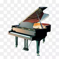 大钢琴乐器键盘剪辑艺术钢琴乐器古典乐器