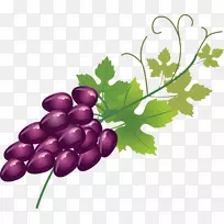 葡萄酒水果蛋糕葡萄浆果紫色葡萄果实