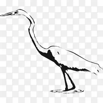 大型白鹭鸟鹤剪贴画-黑色沼泽峭壁