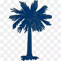 南卡罗莱纳州棕榈旗，槟榔科剪贴画