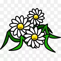 免费内容普通雏菊剪贴画