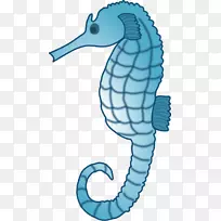 海马水生动物深海生物剪贴画