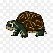 塞西尔龟盒海龟卡通插图-带眼镜的卡通海龟