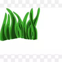 海藻动画剪辑艺术-瘤胃动画