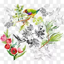 花卉设计水彩画插图卡通鸟