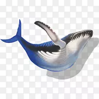 海豚鲸鱼剪贴画-海豚图案