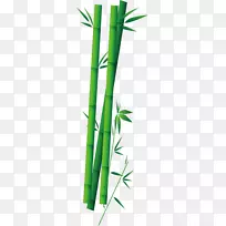 粽子竹