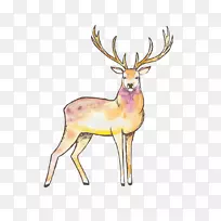 驯鹿麋鹿马鹿驼鹿彩绘鹿图案