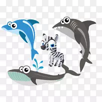 海豚、鲨鱼、海豚、海洋生物.媒介斑马、鲨鱼、鲸鱼、海豚