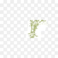 小枝植物茎字体-竹子，绿色，植物
