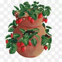 草莓十字绣水果瓷罐