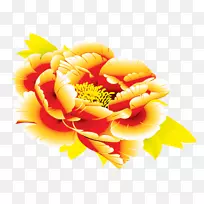 花卉设计剪贴画-金牡丹