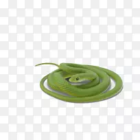 蛇-绿蛇卷