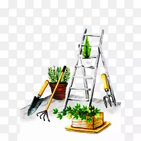 植物插图-植物和梯子
