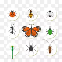 昆虫蜜蜂图标-卡通昆虫