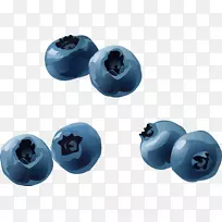 蓝莓果实.载体蓝莓