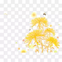 蜜蜂菊花-蜜蜂上的菊花