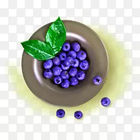 葡萄吃得更好蓝莓蓝单板蓝莓装饰图案