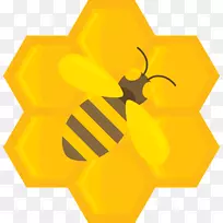 蜜蜂图标-扁平卡通蜜蜂蜂蜜