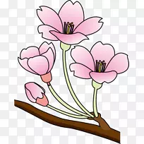 樱花剪贴画-樱花剪贴画
