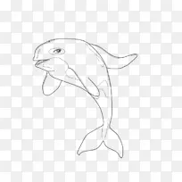 海豚白线艺术素描-海豚图片