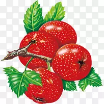 草莓下载-樱桃