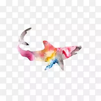 鲨鱼水彩画纹身抽象艺术彩色鲨鱼