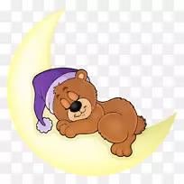熊睡眠图-熊在月球上睡觉
