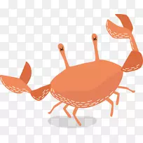 邓吉尼斯螃蟹插图-红色螃蟹