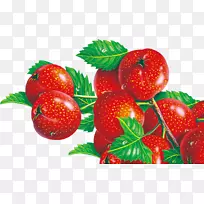草莓果实-樱桃