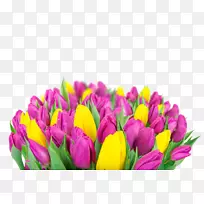 英迪拉甘地纪念郁金香花园高清电视花壁纸郁金香花束