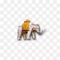 泰国的印度象-泰国象