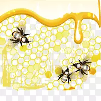 蜜蜂蜂巢-蜜蜂和蜜蜂