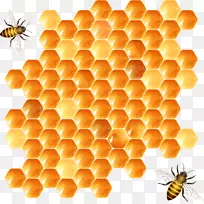 蜂巢设计载体材料