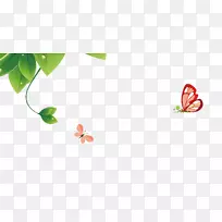 蝴蝶插图-卡通蝴蝶