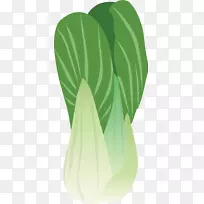 纳帕卷心菜，布鲁塞尔芽菜-涂上绿色卷心菜的卡通画