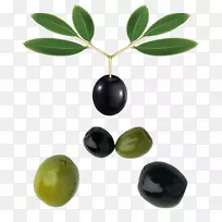 橄榄油.带叶的黑色橄榄绿