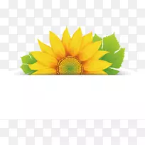 花卉设计剪贴画-向日葵