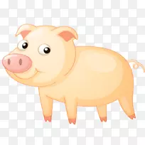 猪剪贴画-一只猪
