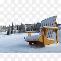 雪地滑雪胜地加拿大滑雪运动椅