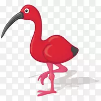 鸟比斯卡通插图-红火烈鸟