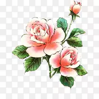 玫瑰粉色免费剪贴画-粉红色玫瑰照片