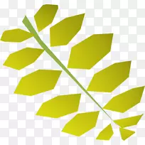 叶绿色咖喱老学校RuneScapa印度料理咖喱树-咖喱叶悬崖
