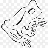 青蛙视觉艺术剪贴画-青蛙图形