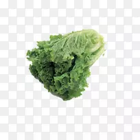蔬菜水果八角菜生菜-大白菜