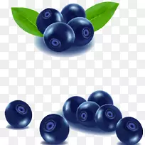 蓝莓水果黑莓-蓝莓图片材料