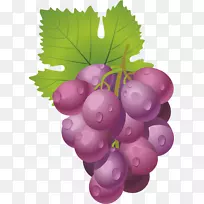 葡萄酒水果-葡萄，水果