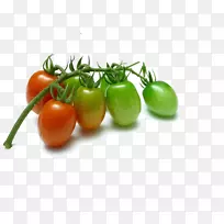 樱桃番茄蔬菜水果葡萄番茄李子番茄樱桃番茄