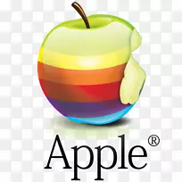 苹果图标图像格式Macintosh ipod Nano图标-Apple